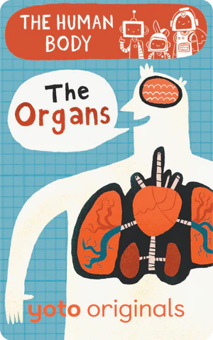 The Human Body: The Organs (Digital)
